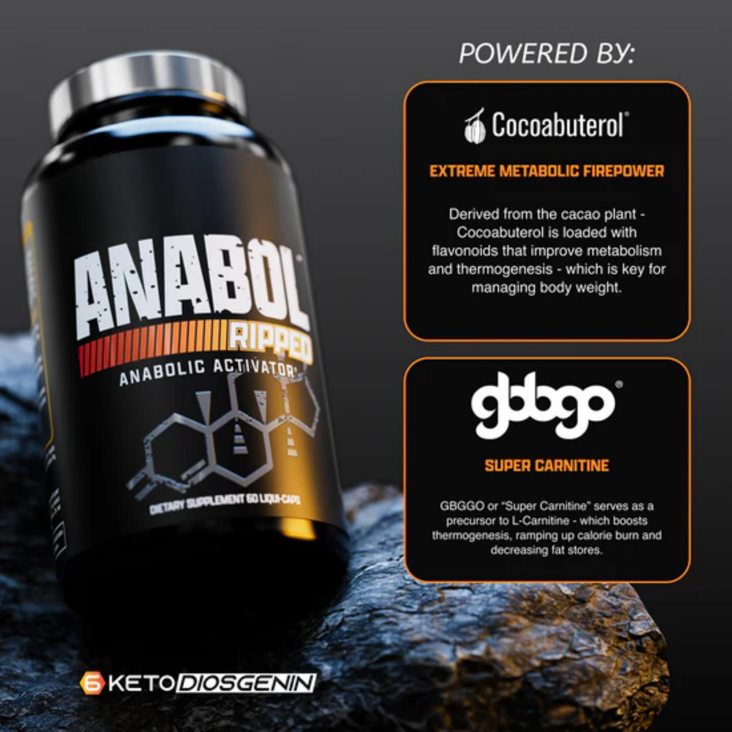SipsAndSmile Abol Ripped